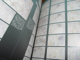 gl_book_05_lagann_hen